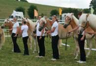 T��da ro�n�ch. Pro zv�t�en� klikn�te