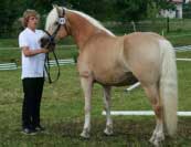 Saiga. Pro zv�t�en� klikn�te