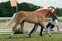 Selene. Pro zv�t�en� klikn�te