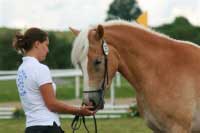 Sorella. Pro zv�t�en� klikn�te