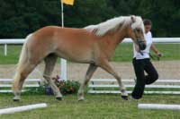 Sorella. Pro zv�t�en� klikn�te