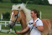 Sunflower. Pro zv�t�en� klikn�te