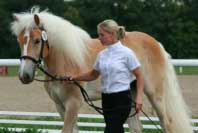 Andromeda. Pro zv�t�en� klikn�te