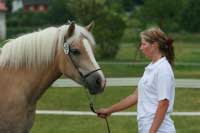 Anjey. Pro zv�t�en� klikn�te