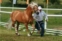 Aquavit. Pro zv�t�en� klikn�te