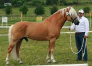 Aquavit. Pro zv�t�en� klikn�te