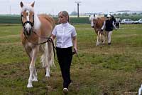 Andromeda a Aschely. Pro zv�t�en� klikn�te