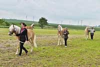 T��da 1-2 let�ch. Pro zv�t�en� klikn�te