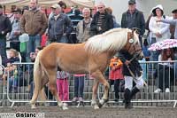 Armin - Q. Pro zv�t�en� klikn�te