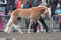 Athos. Pro zv�t�en� klikn�te