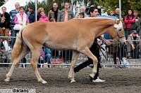 Fortuna. Pro zv�t�en� klikn�te