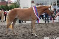 Fortuna. Pro zv�t�en� klikn�te