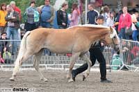 Sunflower. Pro zv�t�en� klikn�te