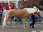 Emmeli. Pro zv�t�en� klikn�te