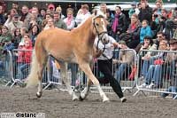 Andromeda. Pro zv�t�en� klikn�te