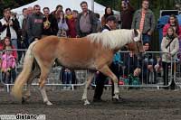 Atlantis. Pro zv�t�en� klikn�te