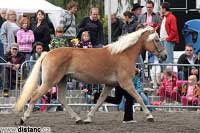 Campbella. Pro zv�t�en� klikn�te