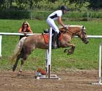 Sunflower ve skokov� sout�i. Pro zv�t�en� klikn�te