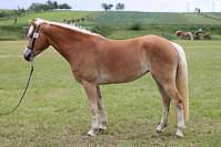 Atlantis. Pro zv�t�en� klikn�te