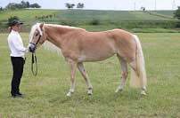 Demina. Pro zv�t�en� klikn�te