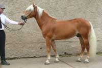 Adam. Pro zv�t�en� klikn�te