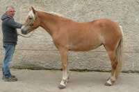 Contana-A. Pro zv�t�en� klikn�te