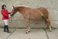 �li�ka. Pro zv�t�en� klikn�te