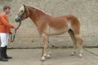 Faluni. Pro zv�t�en� klikn�te