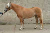 Fate Boom. Pro zv�t�en� klikn�te