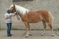 Naveli. Pro zv�t�en� klikn�te