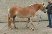 Pol�rka. Pro zv�t�en� klikn�te