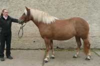 Sherry. Pro zv�t�en� klikn�te