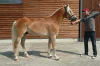 Athos. Pro zv�t�en� klikn�te