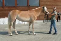 Cuba. Pro zv�t�en� klikn�te