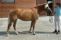 Diamant. Pro zv�t�en� klikn�te