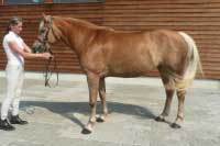 Angel. Pro zv�t�en� klikn�te