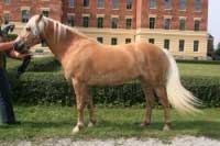 Fly Fiona. Pro zv�t�en� klikn�te