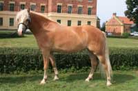 Lira. Pro zv�t�en� klikn�te