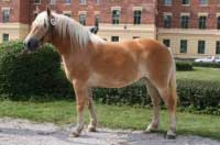 Alisa. Pro zv�t�en� klikn�te