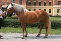 �arlota. Pro zv�t�en� klikn�te