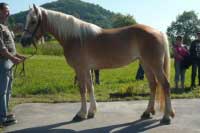 And�lka. Pro zv�t�en� klikn�te