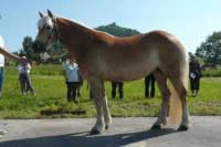 Natty. Pro zv�t�en� klikn�te