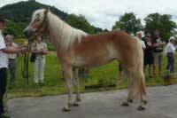 Osamba. Pro zv�t�en� klikn�te