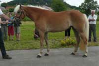 Selene. Pro zv�t�en� klikn�te