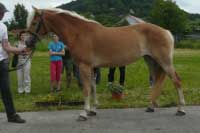 Unadonna. Pro zv�t�en� klikn�te