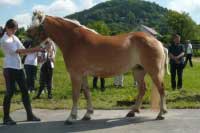 Cinisella. Pro zv�t�en� klikn�te