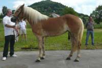 Firewind. Pro zv�t�en� klikn�te