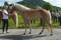 Fortuna. Pro zv�t�en� klikn�te