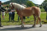 Laki. Pro zv�t�en� klikn�te