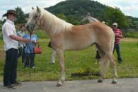 Lavanda. Pro zv�t�en� klikn�te